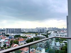 Esta Ruby (D14), Apartment #561504291